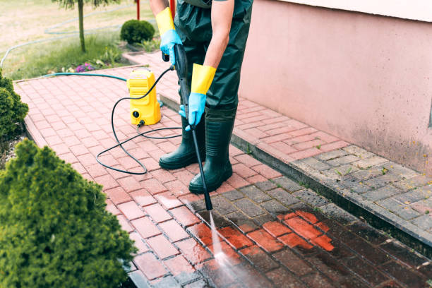 Animal Enclosure Cleaning in Nashville, MI